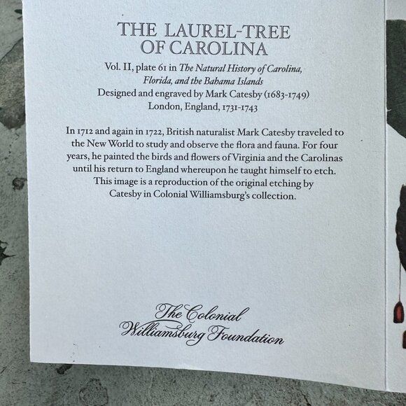The Laurel Tree of Carolina Blank Card - Picture 9 of 12